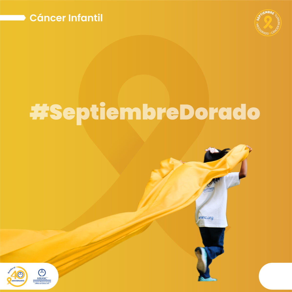 Ley Dorada AMANC – Asociación Mexicana de Ayuda a Niños con Cáncer, Ley General para la Detección Oportuna del Cáncer en la Infancia y la adolescencia