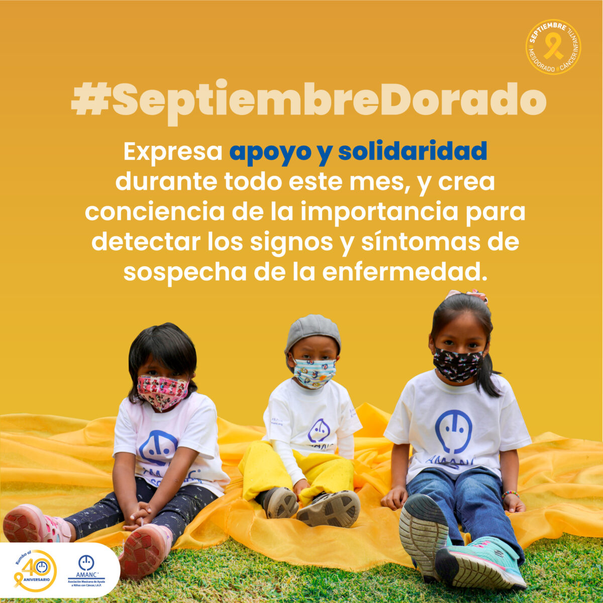 Ley Dorada AMANC – Asociación Mexicana de Ayuda a Niños con Cáncer, Ley General para la Detección Oportuna del Cáncer en la Infancia y la adolescencia